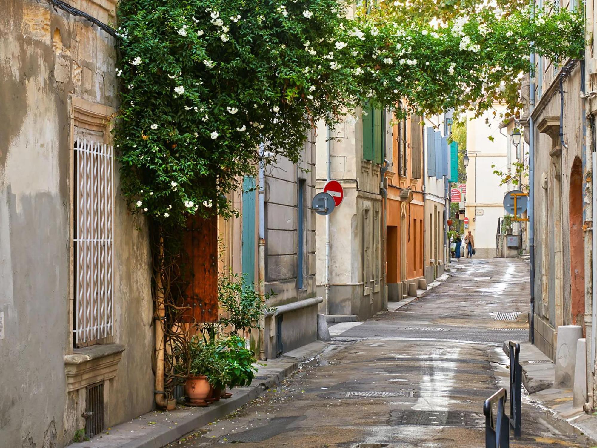 Hebergements Modernes & Cosy A Arles T3 Et T2 Elegants Zewnętrze zdjęcie